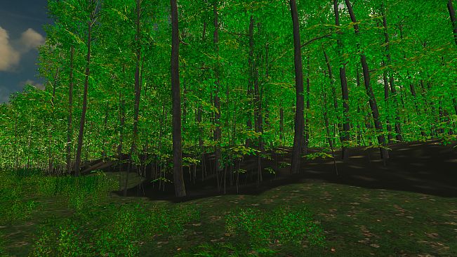 Nature for Clip maker