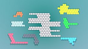 Hexagon Puzzle Blocks