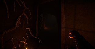 Tales from the Other Side: Beneath the Roots