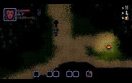 Story Of the Survivor