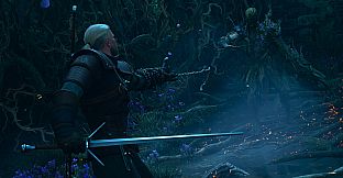 The Witcher 3: Wild Hunt — Songs of the Past