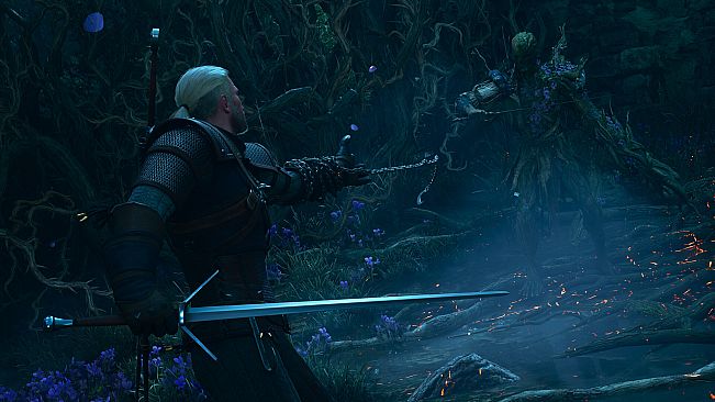The Witcher 3: Wild Hunt — Songs of the Past