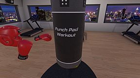 Punch Pad Workout