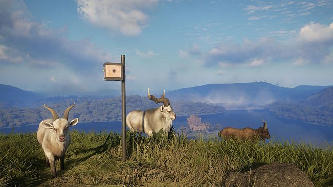 theHunter: Call of the Wild - Game Feeder Pack 2