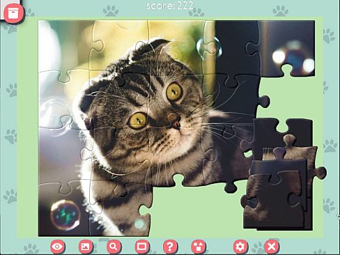 1001 Jigsaw. Cute Cats