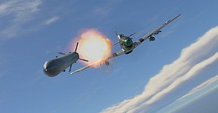 War Thunder - Ray Wetmore`s P-51D-10 Pack