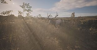 PROJECT HUNT - LONE STAR HUNTING RANCH