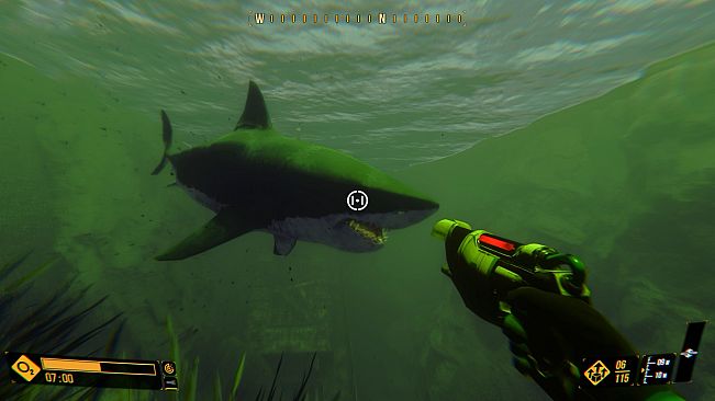 Deep Diving Adventures