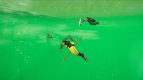 New Journey to the West