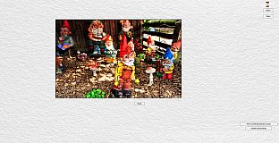 Gnome Enchanted Jigsaw Puzzles