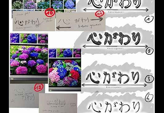 Kokorogawari - Best Value Pack