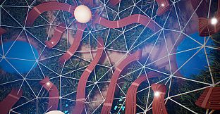 Lifecycles of the Traveler Spider