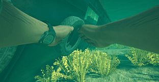 Stranded Deep 2
