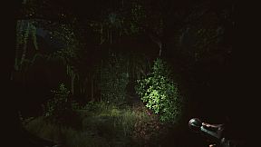 Forlorn: The mysteries of Highshadowland