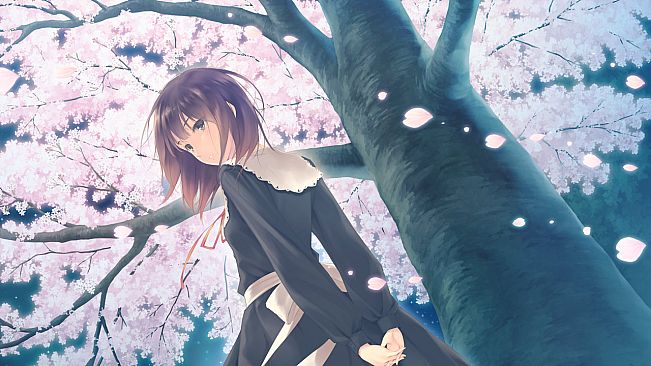 Flowers -Le volume sur printemps-