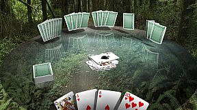 Crazy Eights 3D Premium