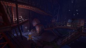 The Sirena Expedition