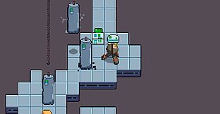 The Visitor Effect: Not an experiment