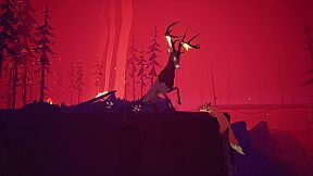 4-in-1 Award Winning Bundle