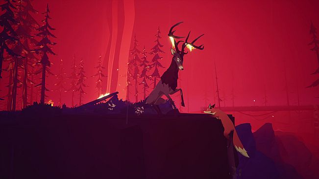 4-in-1 Award Winning Bundle