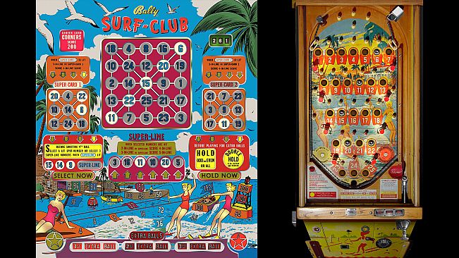 Bingo Pinball Gameroom - Bally Surf Club