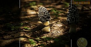 Morels: The Hunt 2 Soundtrack