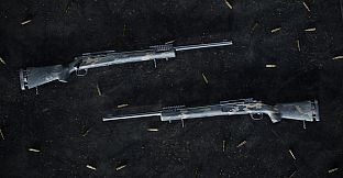 Insurgency: Sandstorm - Night Raven Weapon Skin Set