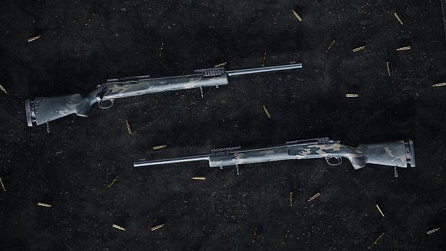 Insurgency: Sandstorm - Night Raven Weapon Skin Set