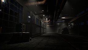 Schizophrenia: The Last Shift