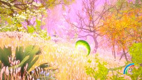 Hidden Treasures in the Forest of Dreams