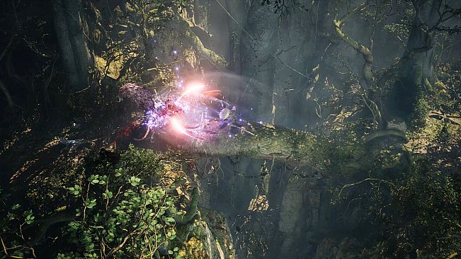 TARAE: The Unbound