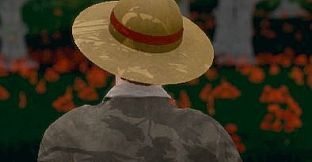 Hide and Seek - Boater