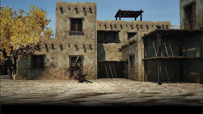 the Shadow of Swallow