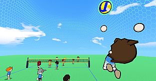 just volleyball