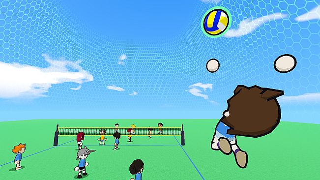 just volleyball
