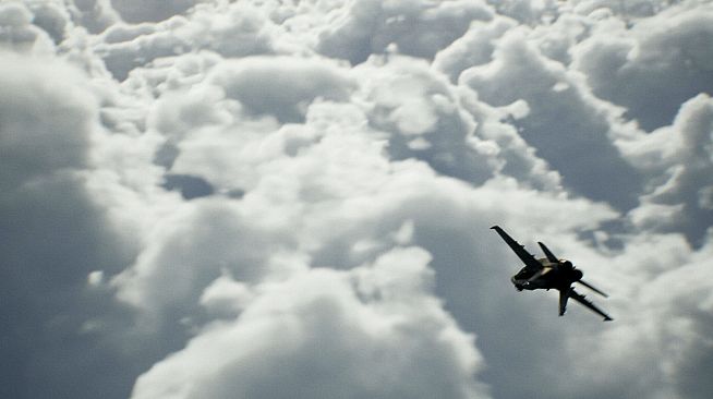 Training and War Simulation (TWS)