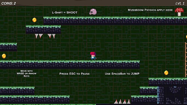 Ginger Shroom Journey