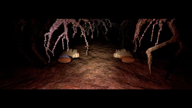 Dédale - A Cave Diving Experience