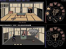 Escape From Castle Matsumoto