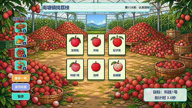 Know Lychees / 来高州识荔枝