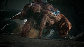 UNDECEMBER: 4th Anniversary