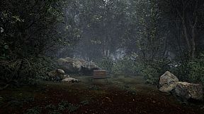 TheLostWoods / 迷いの森