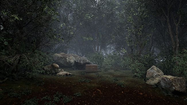 TheLostWoods / 迷いの森