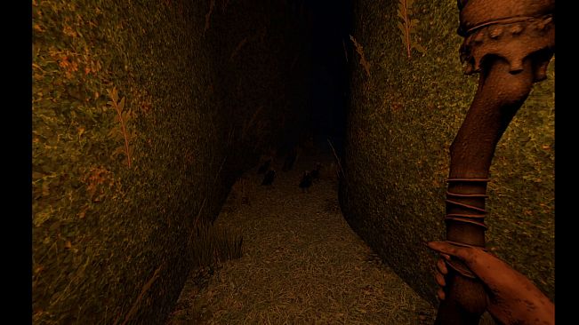 HUNTMAZE