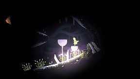 Oscuro Blossom’s Glow