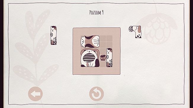 Cats Organized Neatly