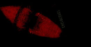 Project C██████