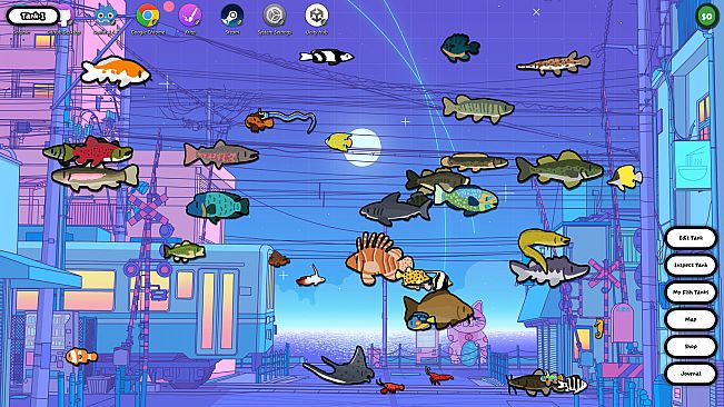 Cozy Aquarium