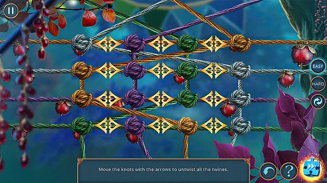 Maze of Realities: Synergy of Worlds Collector's Edition