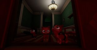 Catch Meow If You Can